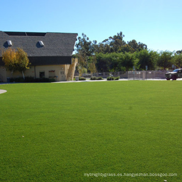 SGS certificó material de PPE Material paisaje césped césped artificial verde para la decoración del hogar